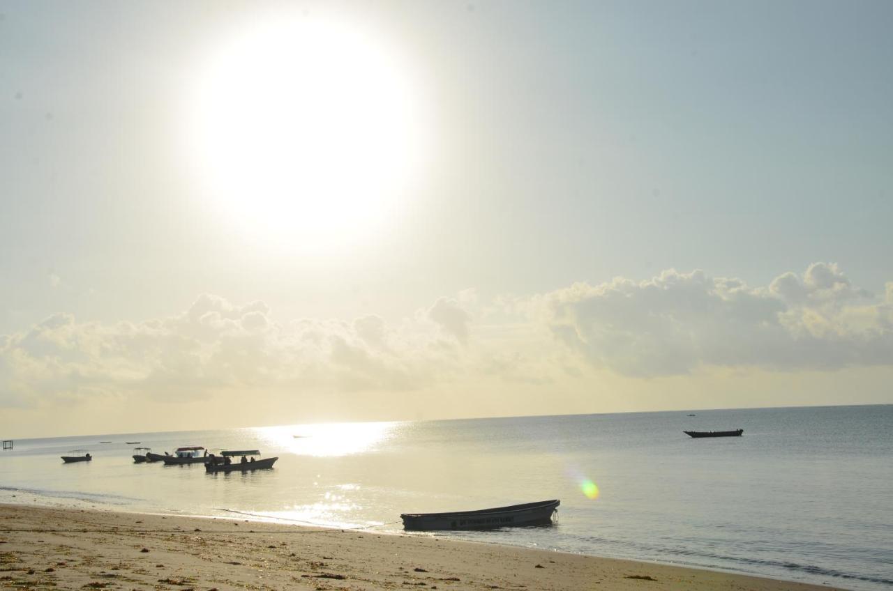 Lui Ushongo Beach House Pangani Экстерьер фото